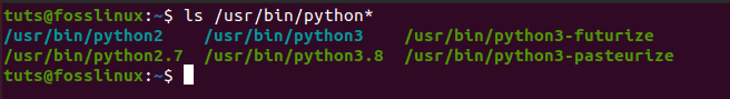 Verifique todas las versiones de Python instaladas en el directorio bin