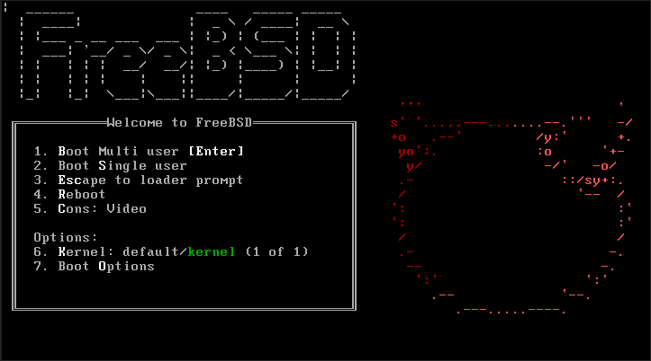 Consola FreeBSD