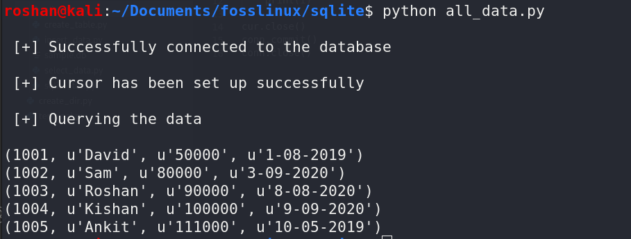 consultar datos de sqlite usando pyhon