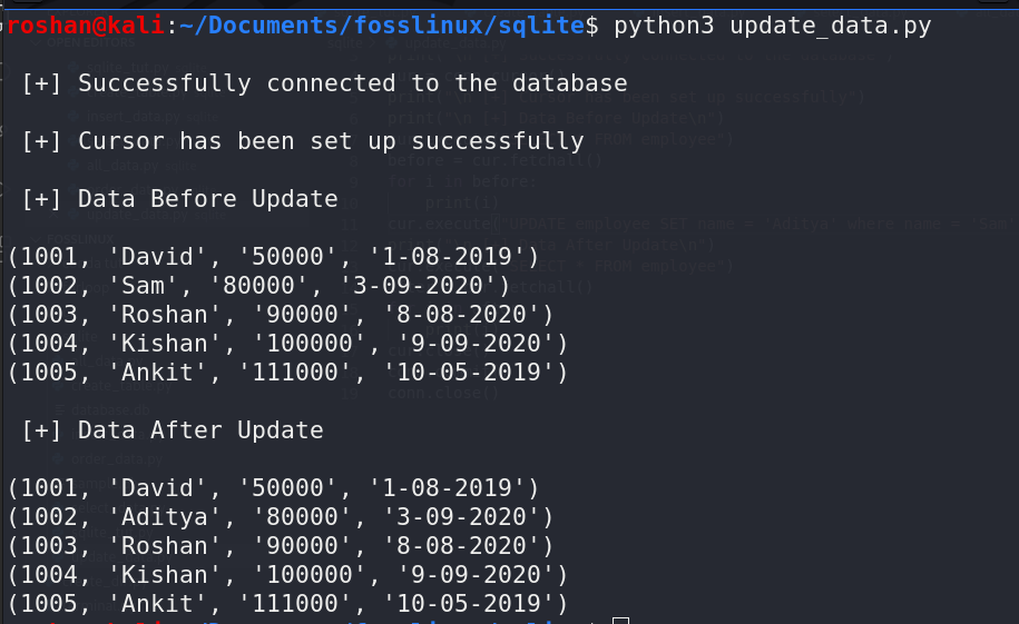 actualizando la fila usando python y sqlite