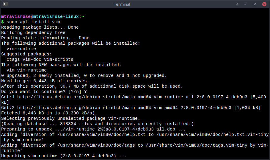 sudo apt install vim